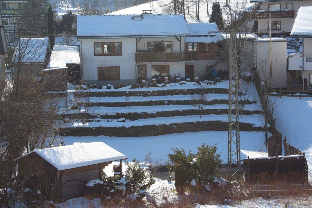 Haus Talblick Villa Schmallenberg Exterior foto